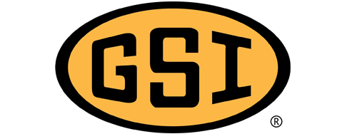 GSI